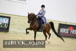 22BUCK_03462 proof