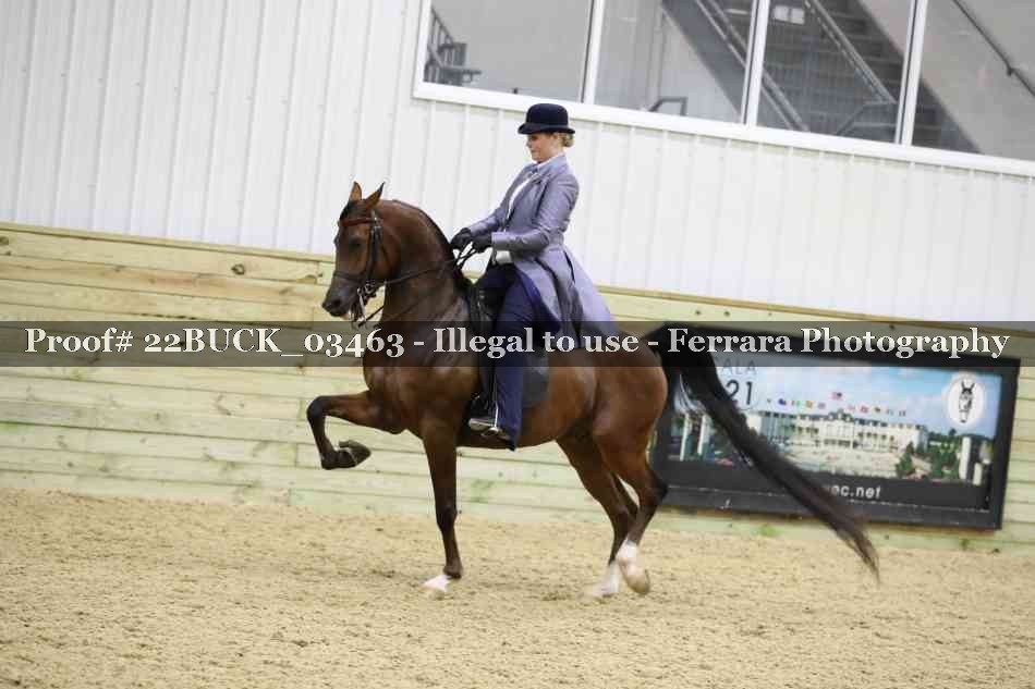Proof 22BUCK_03463