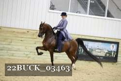 22BUCK_03463 proof