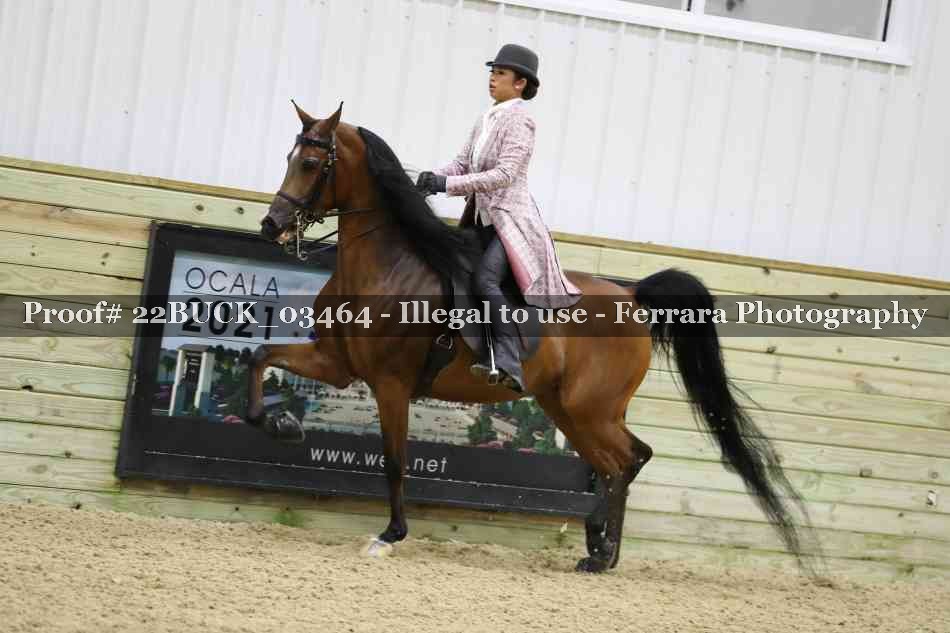 Proof 22BUCK_03464