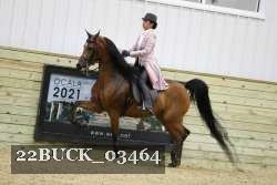 22BUCK_03464 proof