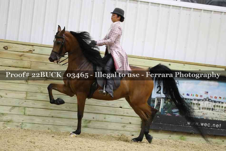Proof 22BUCK_03465