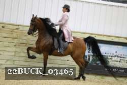 22BUCK_03465 proof