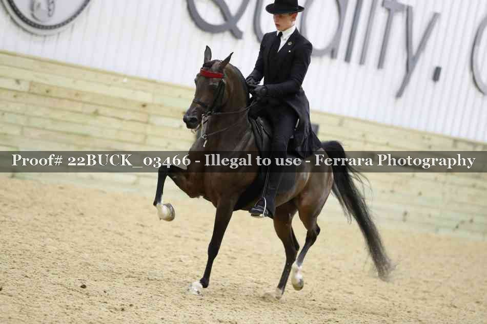 Proof 22BUCK_03466