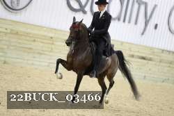 22BUCK_03466 proof