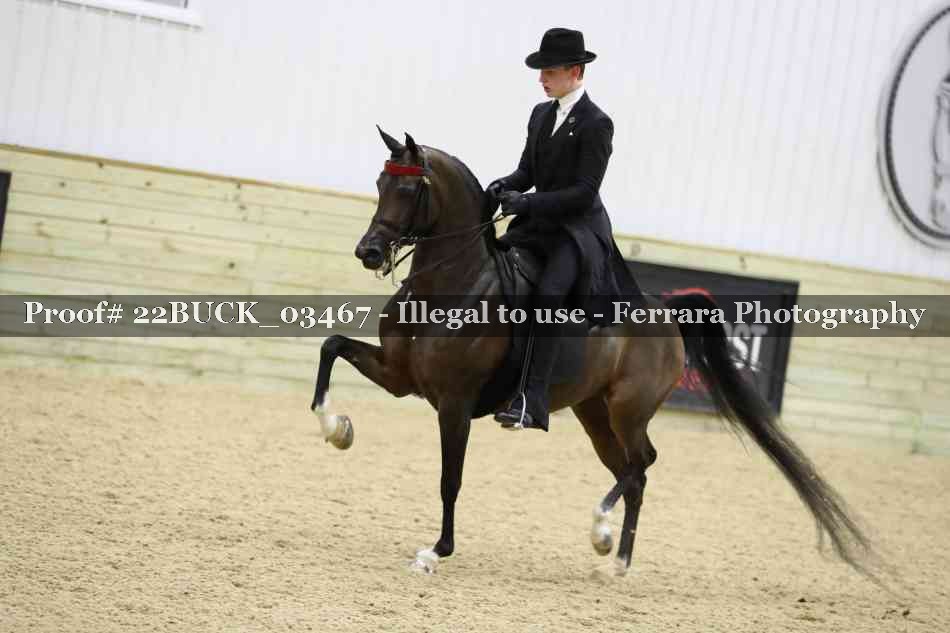 Proof 22BUCK_03467