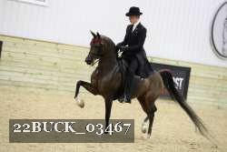22BUCK_03467 proof