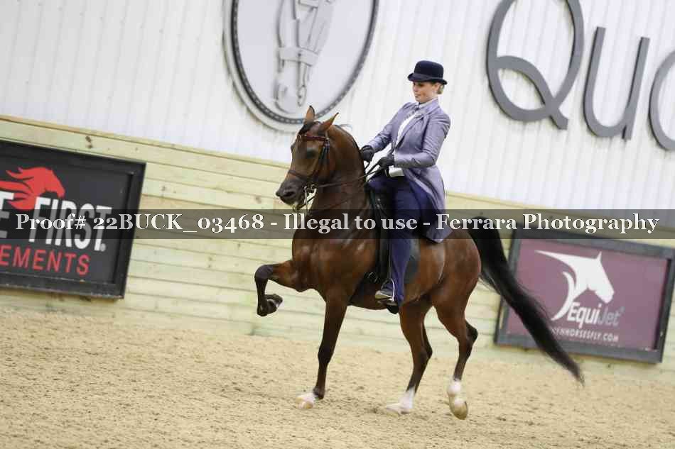 Proof 22BUCK_03468