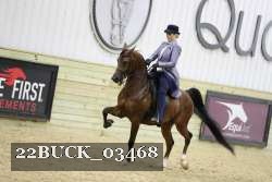 22BUCK_03468 proof
