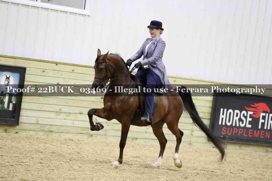 Proof 22BUCK_03469