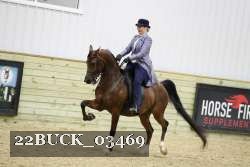 22BUCK_03469 proof