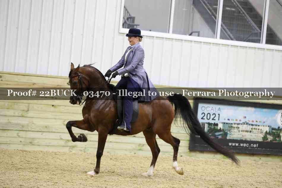 Proof 22BUCK_03470