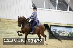 22BUCK_03470 proof