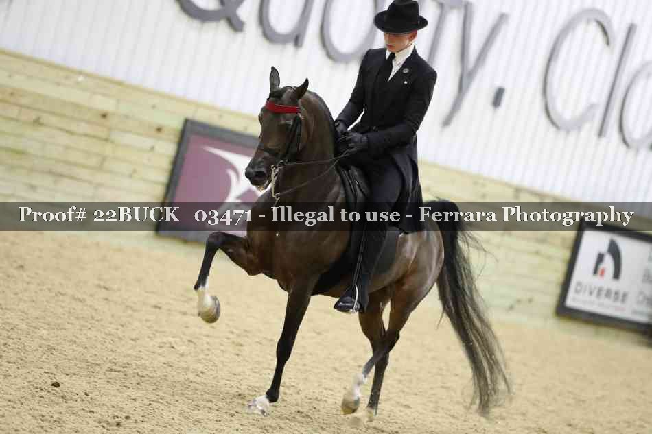 Proof 22BUCK_03471