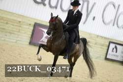 22BUCK_03471 proof