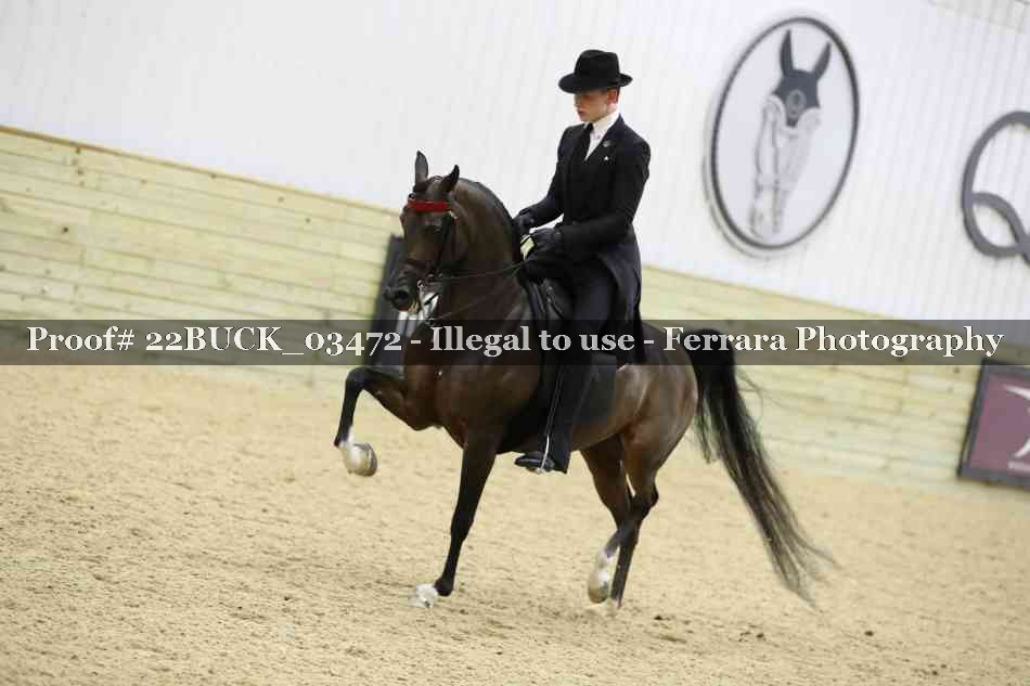 Proof 22BUCK_03472