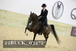 22BUCK_03472 proof
