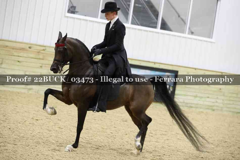 Proof 22BUCK_03473