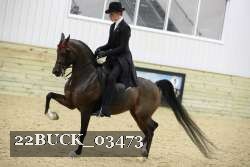 22BUCK_03473 proof