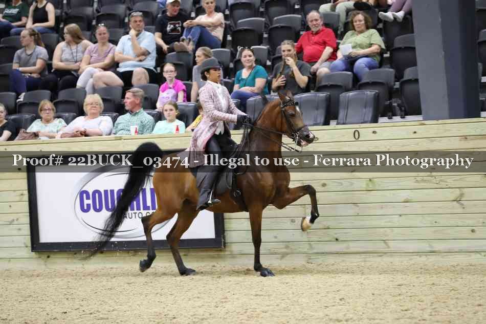 Proof 22BUCK_03474