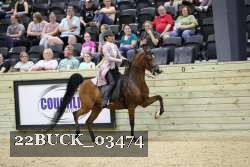 22BUCK_03474 proof