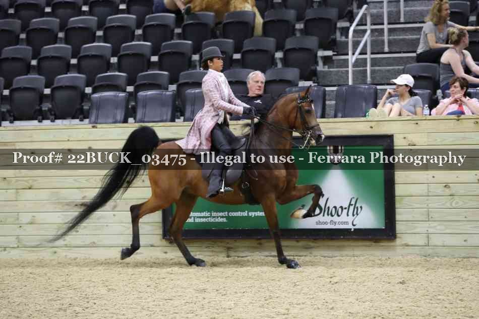 Proof 22BUCK_03475