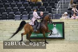 22BUCK_03475 proof