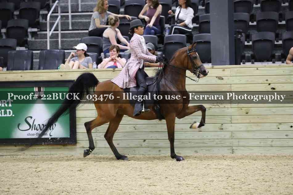 Proof 22BUCK_03476