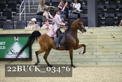 22BUCK_03476 proof