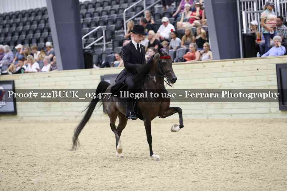 Proof 22BUCK_03477