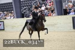22BUCK_03477 proof