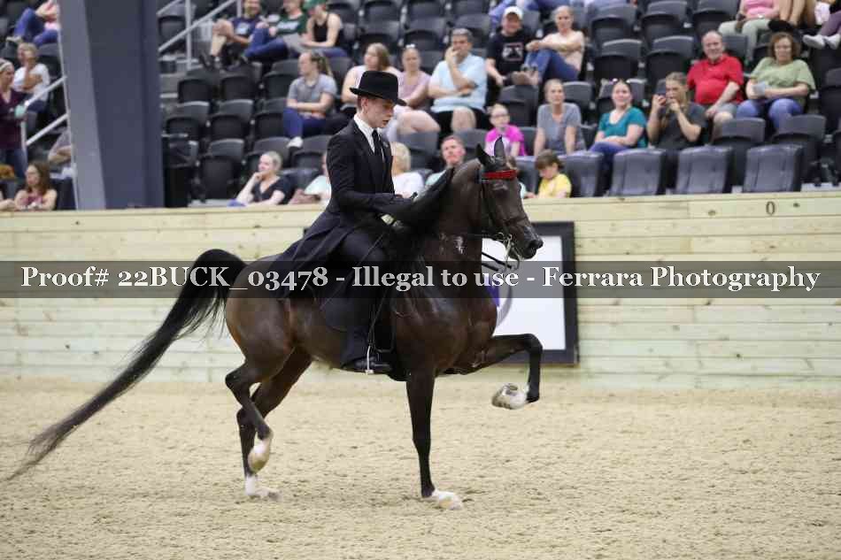 Proof 22BUCK_03478