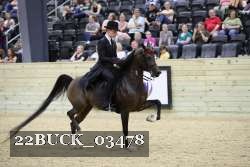 22BUCK_03478 proof