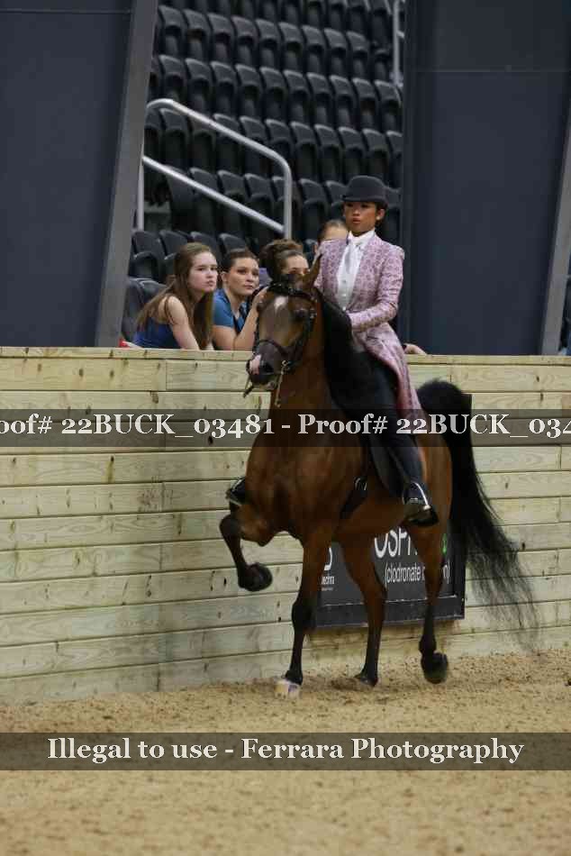 Proof 22BUCK_03481