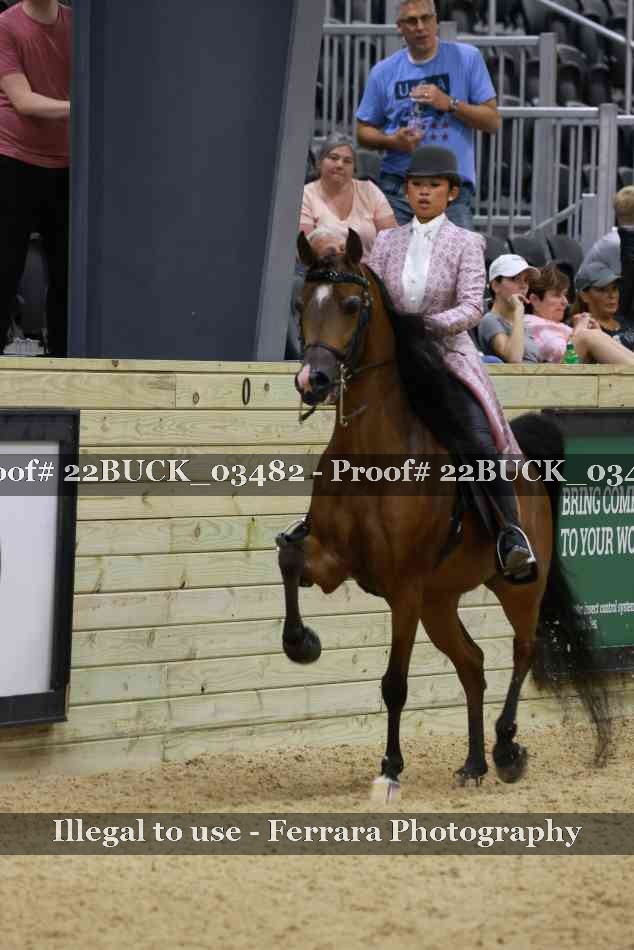 Proof 22BUCK_03482