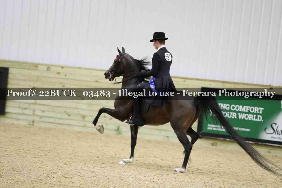 Proof 22BUCK_03483