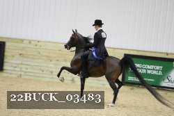 22BUCK_03483 proof