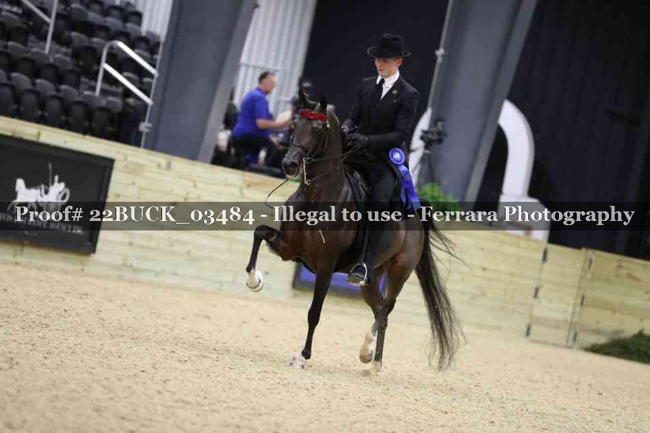 Proof 22BUCK_03484