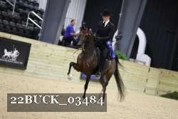 22BUCK_03484 proof
