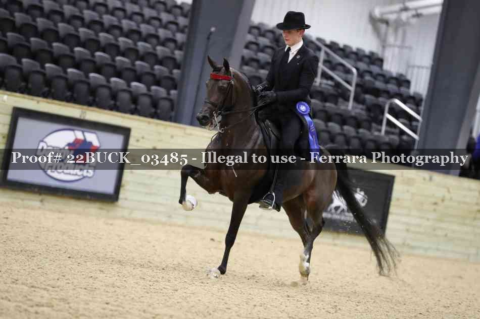 Proof 22BUCK_03485