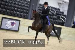 22BUCK_03485 proof