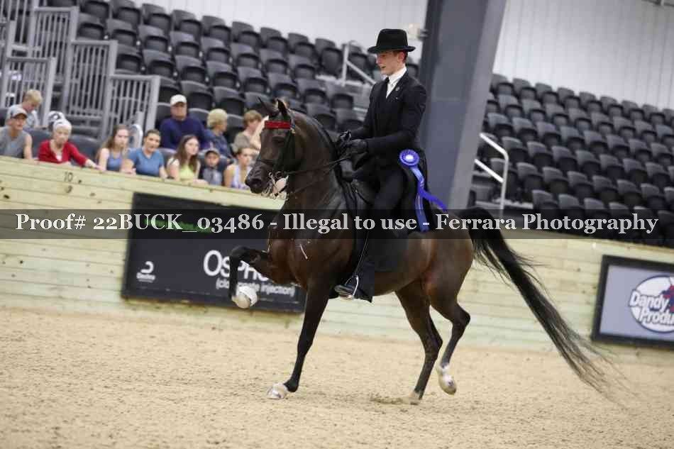 Proof 22BUCK_03486