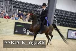 22BUCK_03486 proof