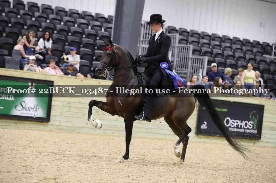 Proof 22BUCK_03487