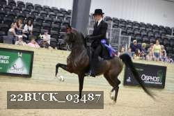 22BUCK_03487 proof
