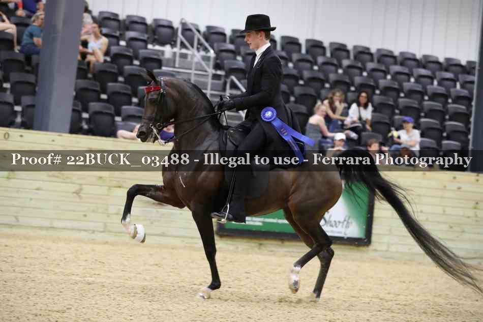 Proof 22BUCK_03488