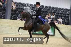 22BUCK_03488 proof