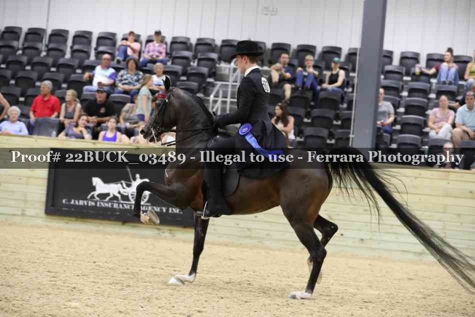 Proof 22BUCK_03489