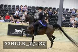 22BUCK_03489 proof