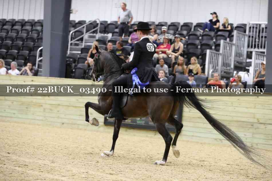Proof 22BUCK_03490
